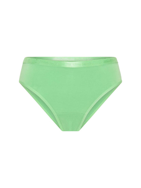 Modibodi Mixed Classic Bikini Holiday Gifting 3 Pack Bottlebrush Multi Green |ModelName: Maddy 16/XL
